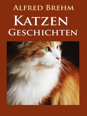 cover image of Katzengeschichten